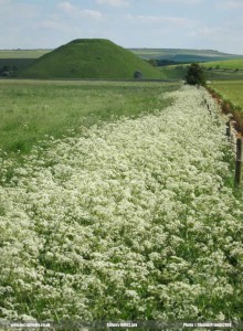 Silbury-Hill02