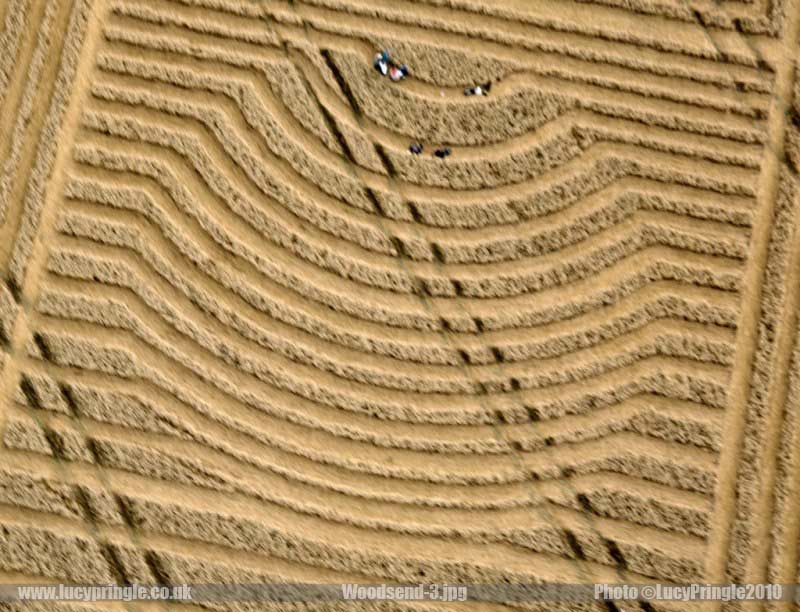 2010年8月麦田怪圈现象