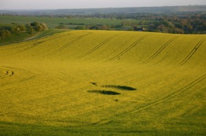 white-horse-alton-barnes2